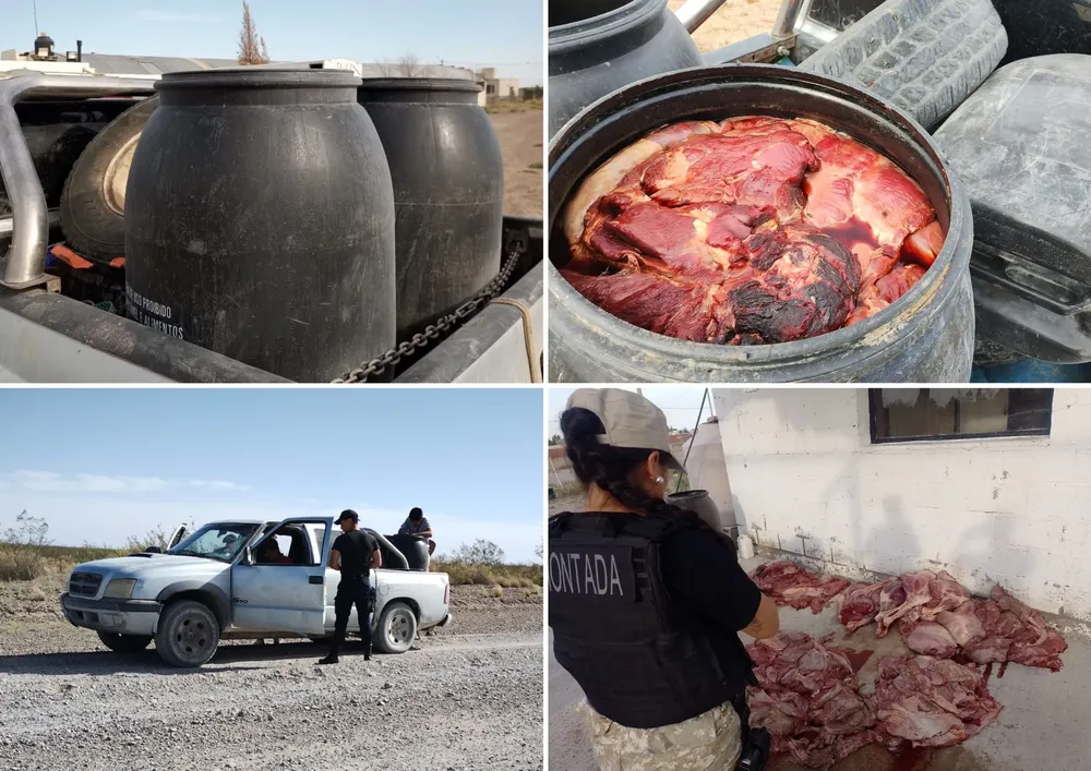 CON CARNE SIN PERMISOS QUISO EVADIR CONTROLES. TERMINÓ DETENIDO
