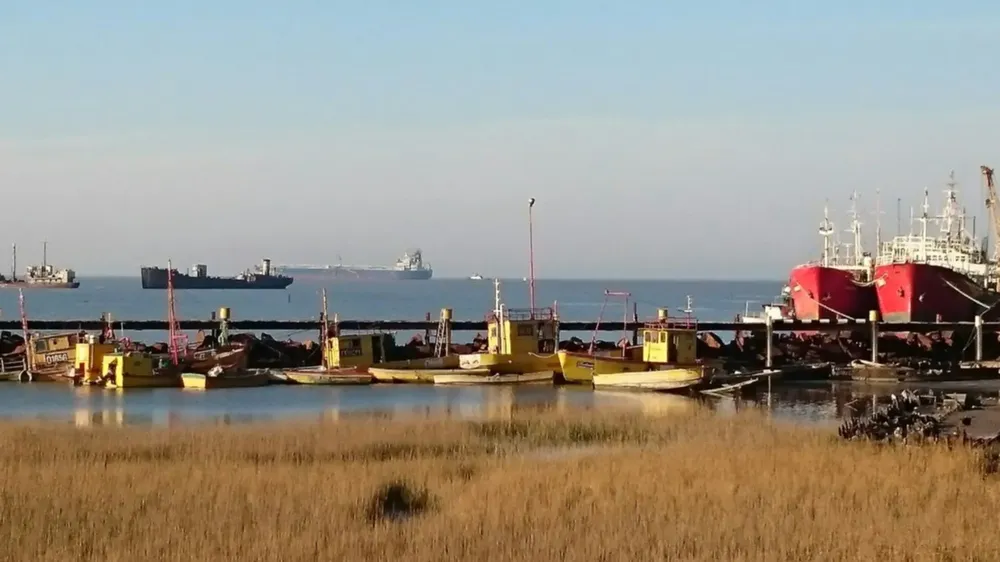 Puerto Rosales
