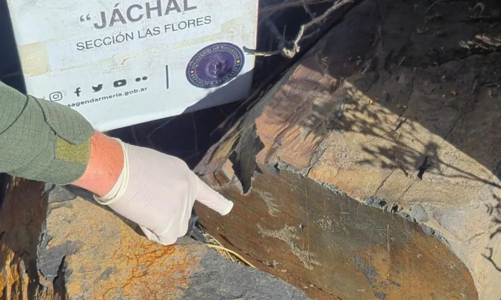 Hallan petroglifos junto a la Ruta 150