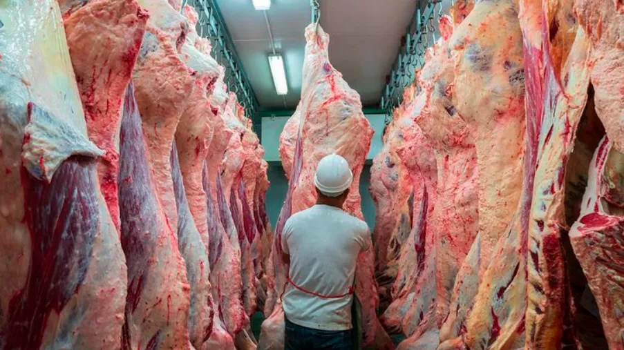 carne exportaciones