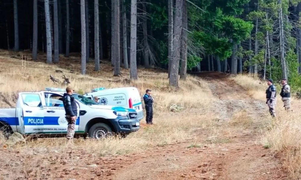 Secuestro de madera en Lago Puelo