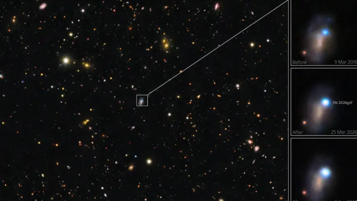 Muerte de estrella