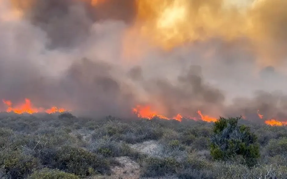 incendio campos