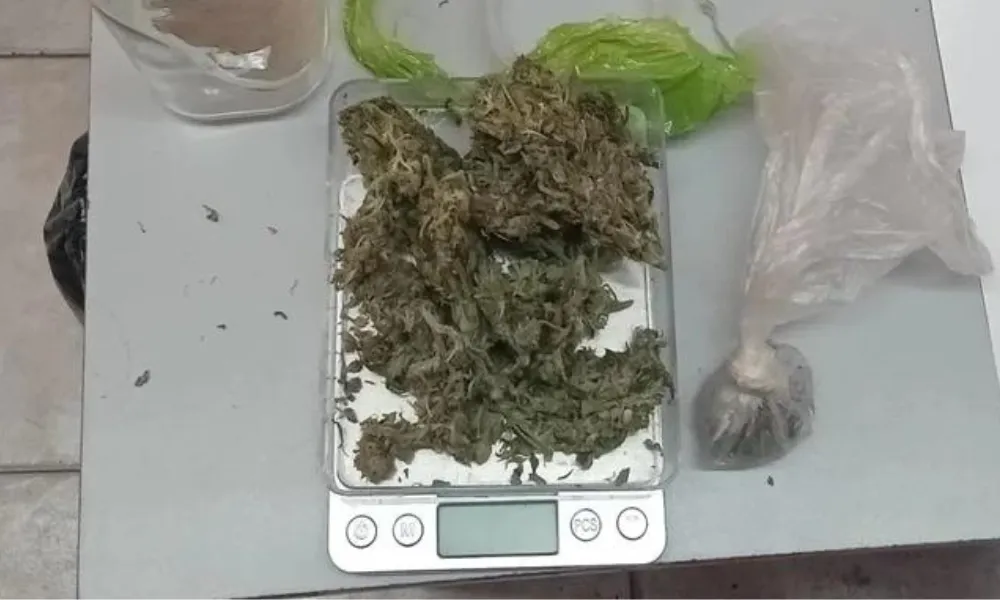 Cannabis
