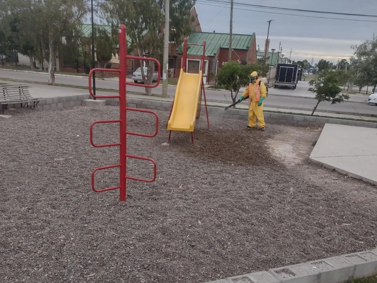 Tareas de fumigacion por parte del municipio