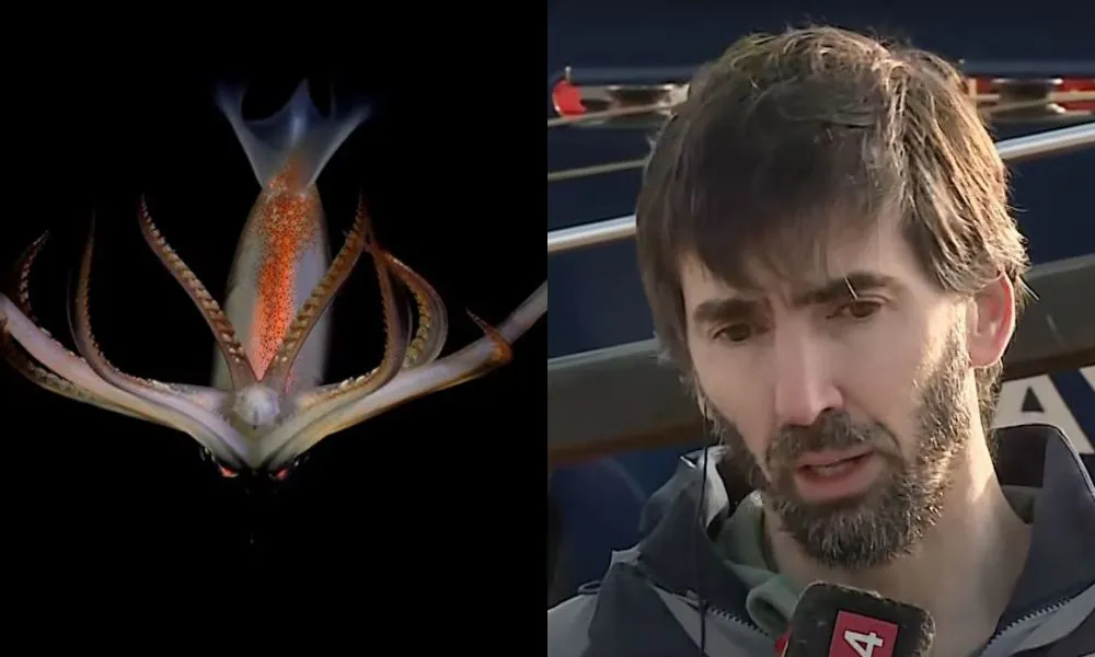 Campaña submarina del Conicet