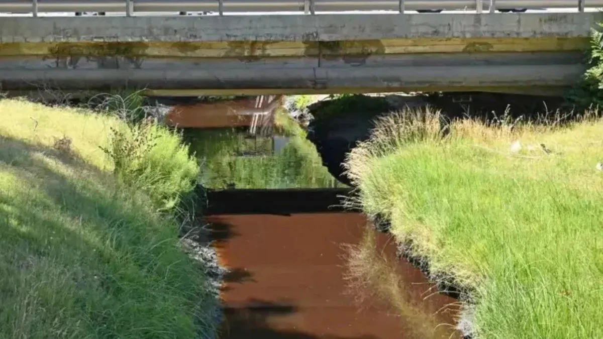 Canal de riego en Cipolletti (Diario Río Negro)