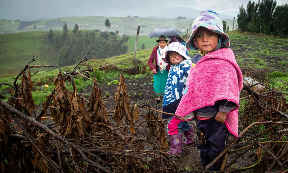 Desnutrición infantil en Ecuador. Foto UNICEF