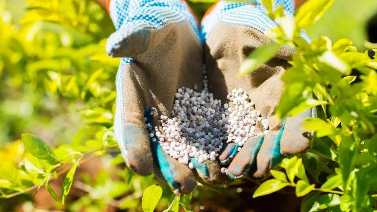 Impulsan la produccion de urea