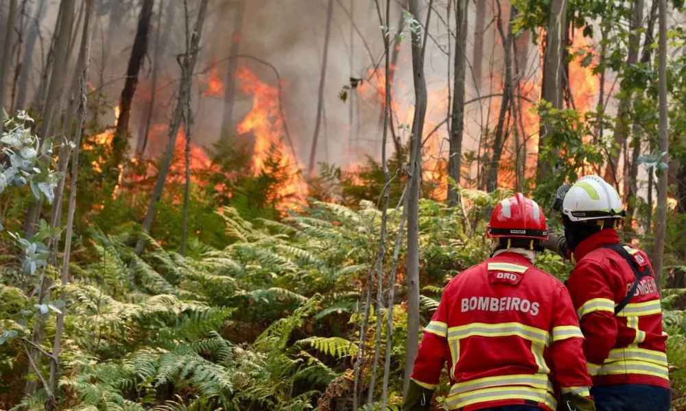 Incendios forestales en Portugal (Foto: RTVE)