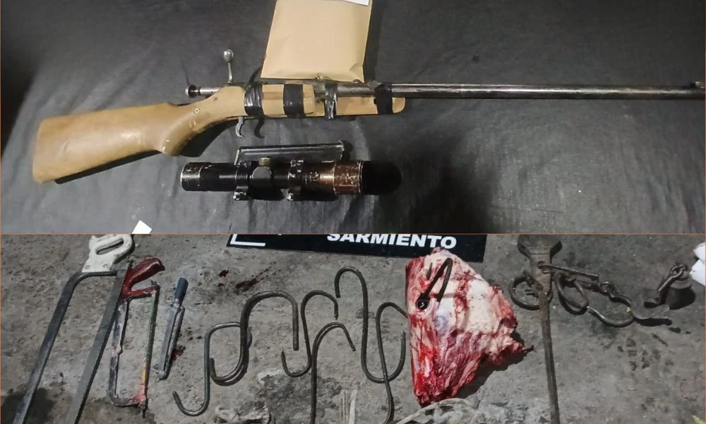 Balsa clandestina y contrabando de carne en Sarmiento