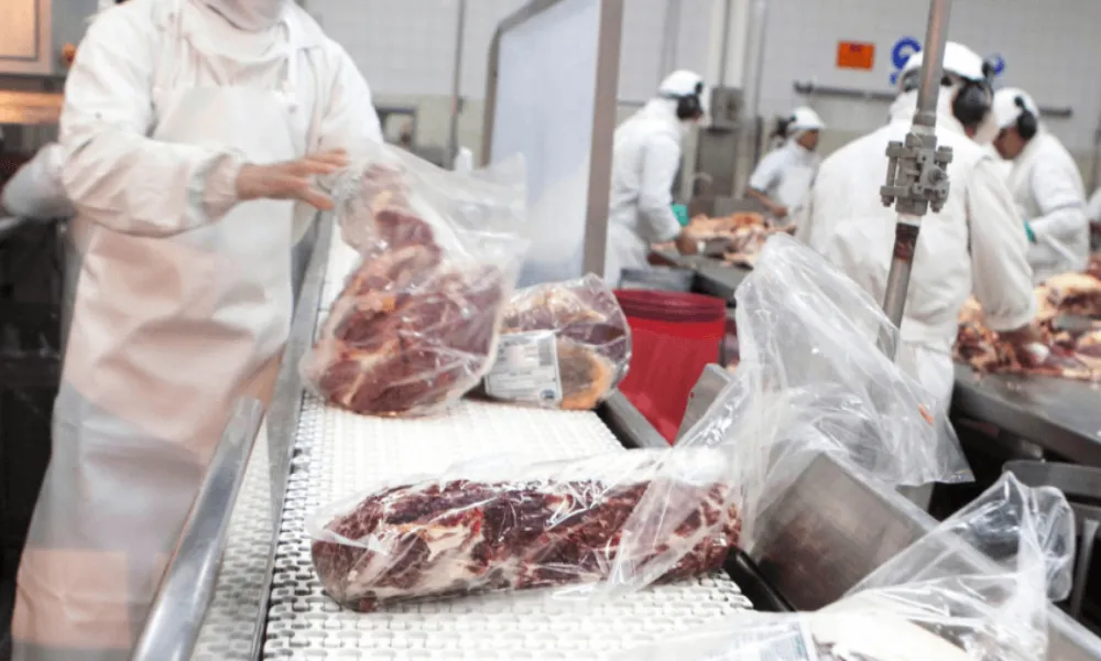 Carne
