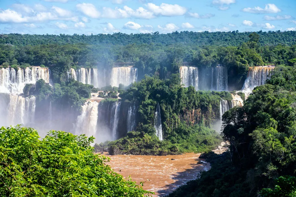 Selva misionera