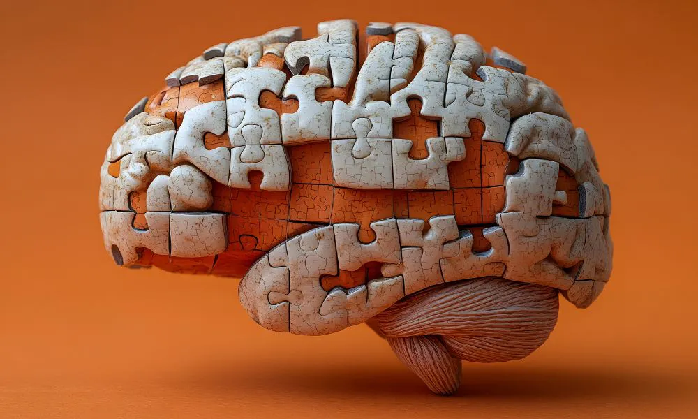 Cerebro (Foto: gonzalorj)