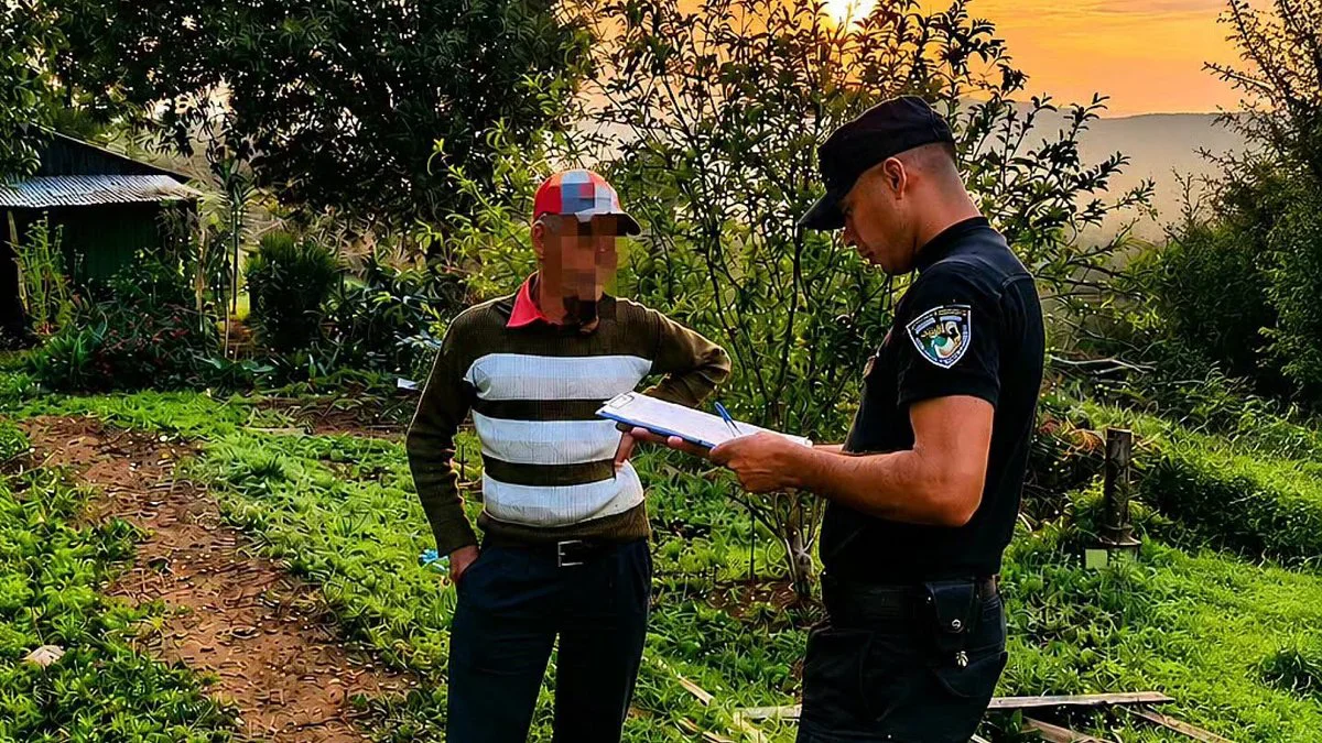 Mujer se desvaneció por un ataque de abejas