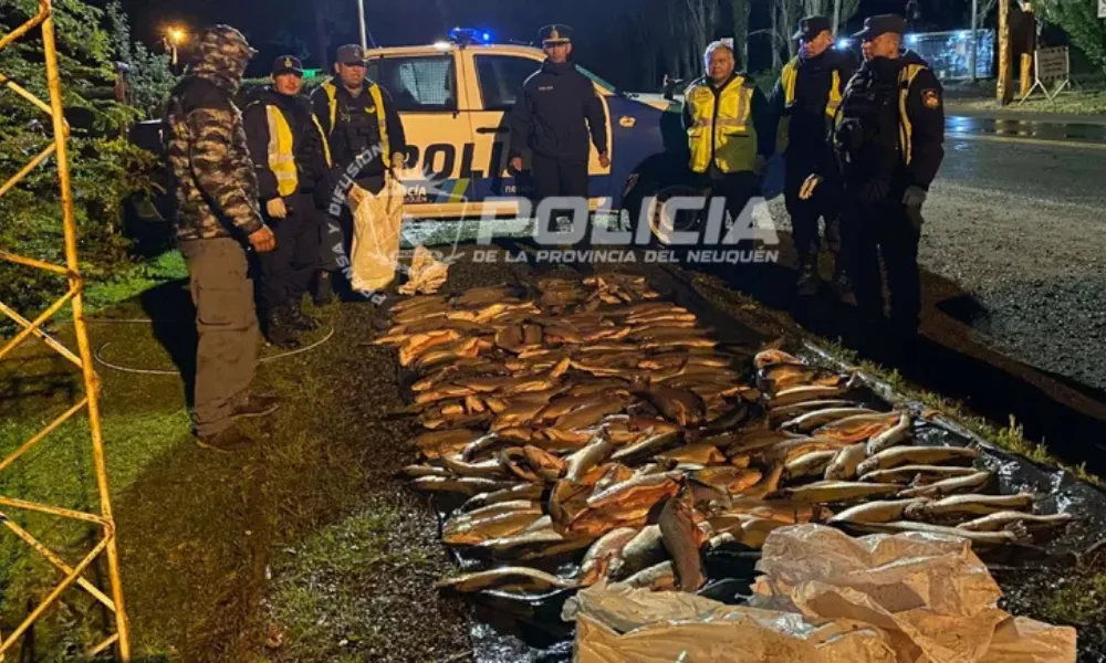 Pesca Ilegal