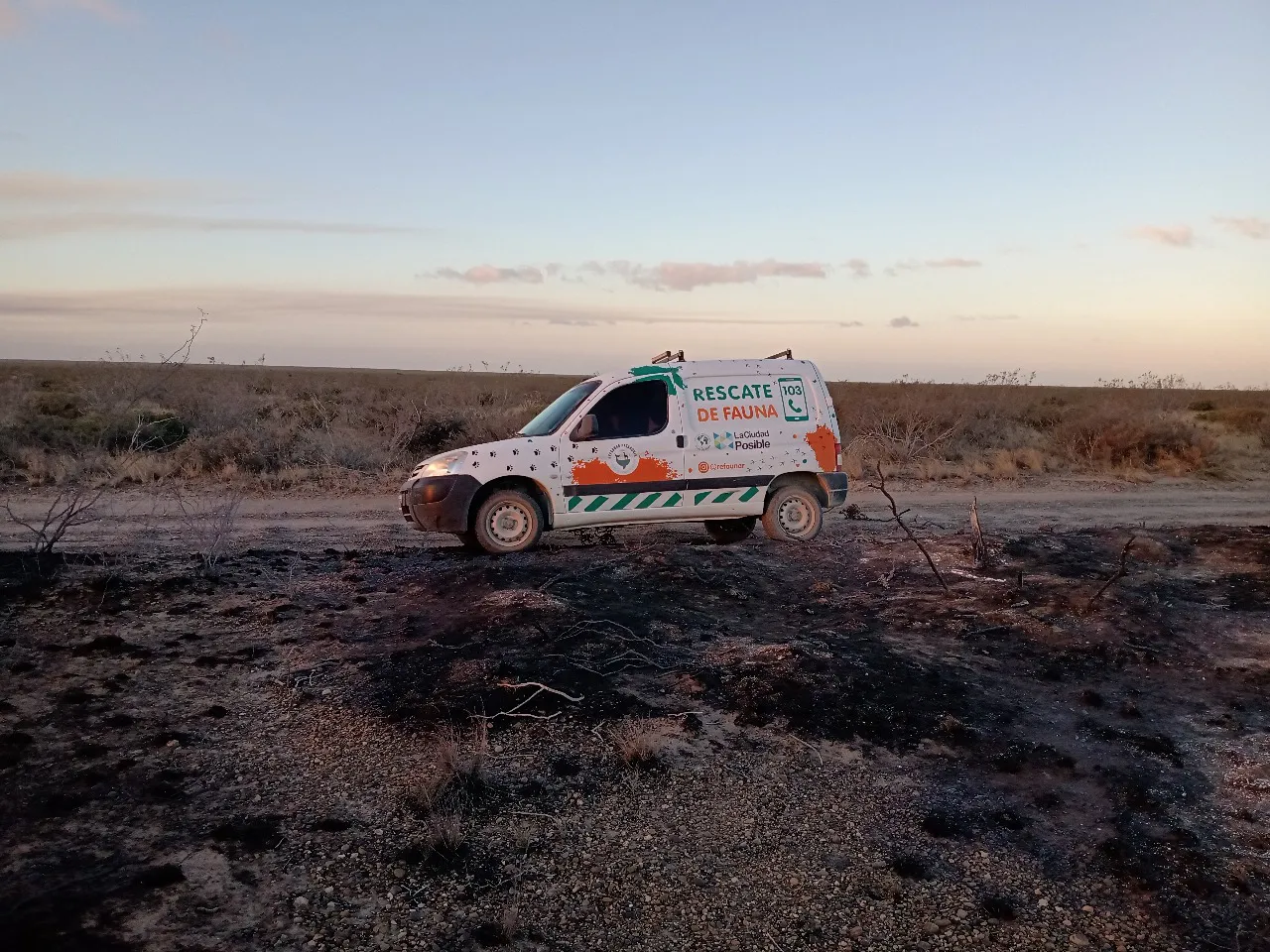 refaunar incendio