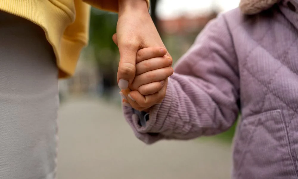 Programa de acogimiento familiar