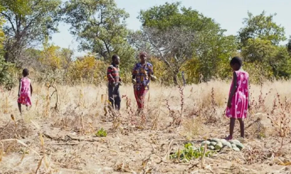 Sequía en Zimbabwe (Foto: World Vision/C5N)