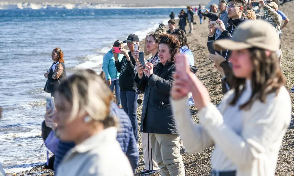 Turistas en la costa de Puerto Madryn