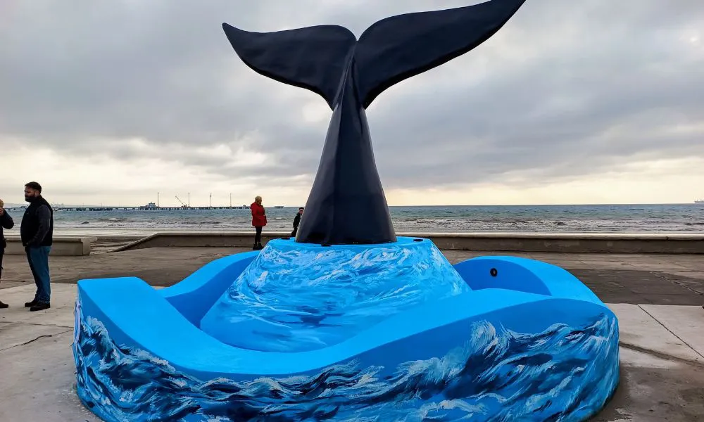 Cola de ballena