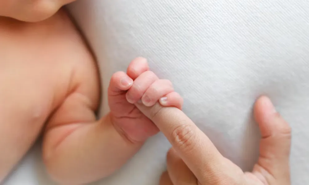 Maternidad
