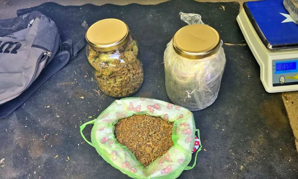 Droga secuestrada durante allanamientos