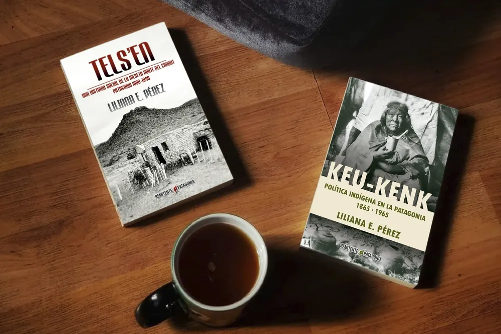 Literatura patagónica 