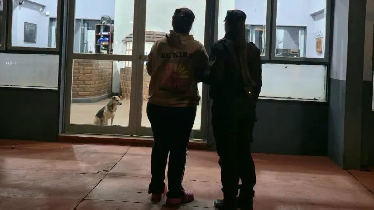 Detienen a una mujer por intentar asfixiar y amenazar a su ex pareja