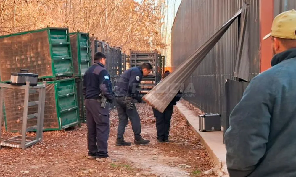 Robo escuela Neuquén
