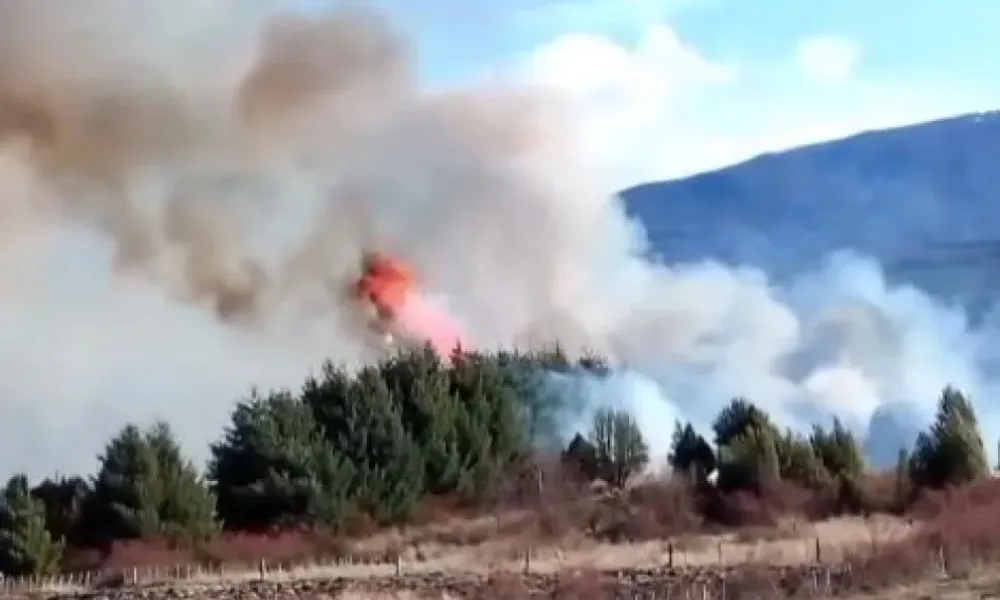 Incendio en Mallín Ahogado