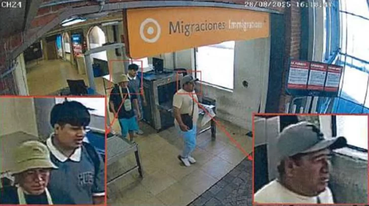 Pequeño Migraciones Pequeño Migraciones