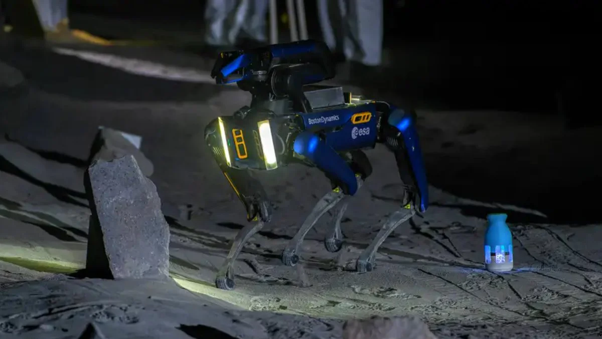 Perro robot Imagen Klaus W. SchmidtIMAGO