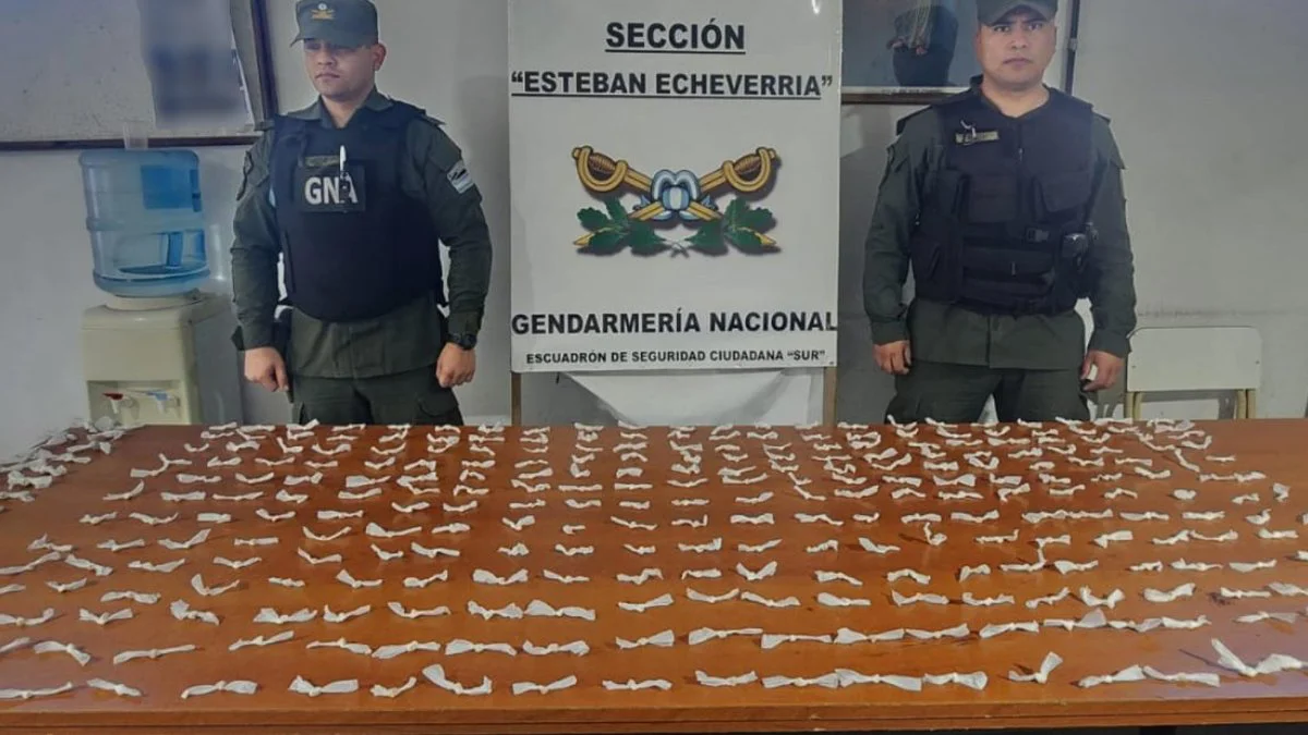 Incautan más de 300 dosis de cocaína y marihuana. Foto Prensa Gendarmería