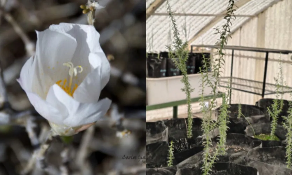 Jardín Botánico CENPAT