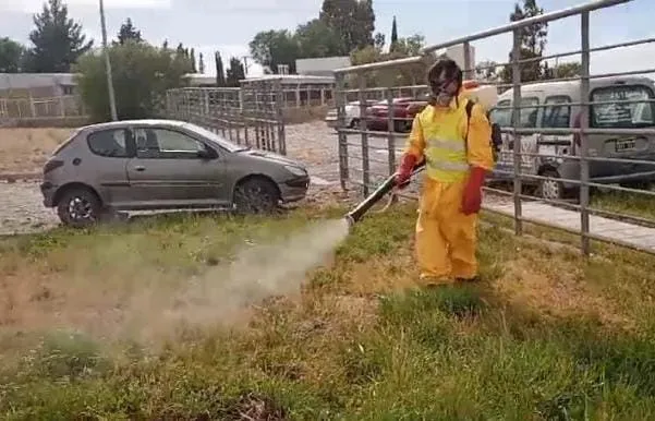 Fumigación
