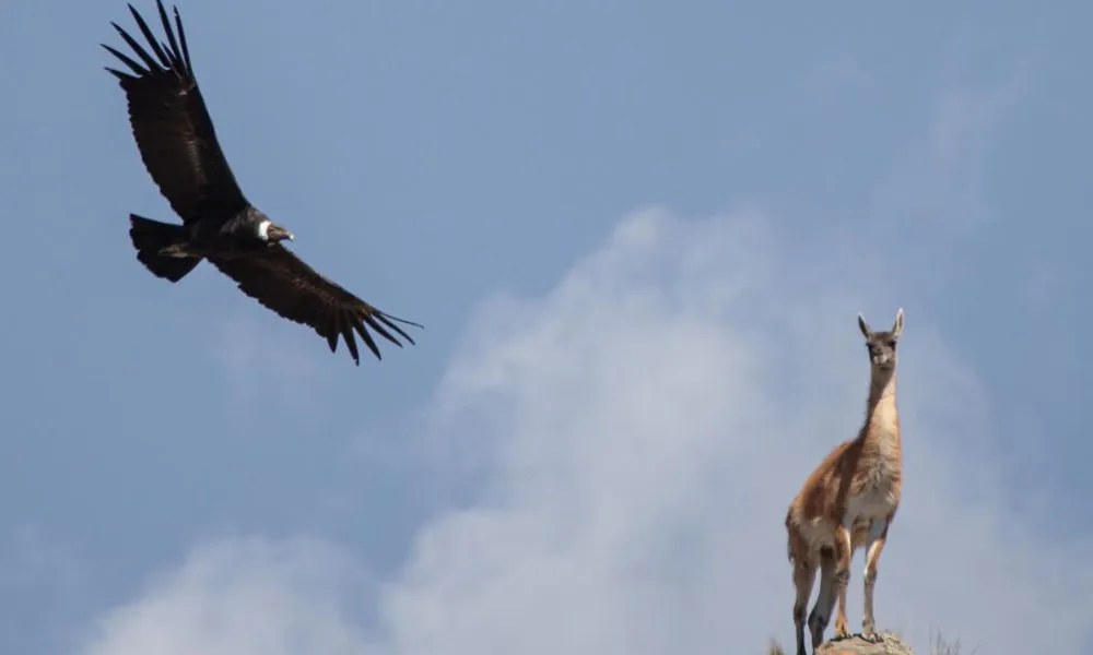 Minsiterio de turismo de Mendoza