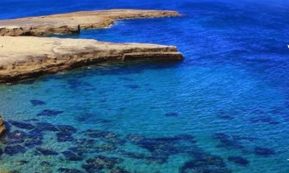 Pardelas foto Flores Viajes y Turismo