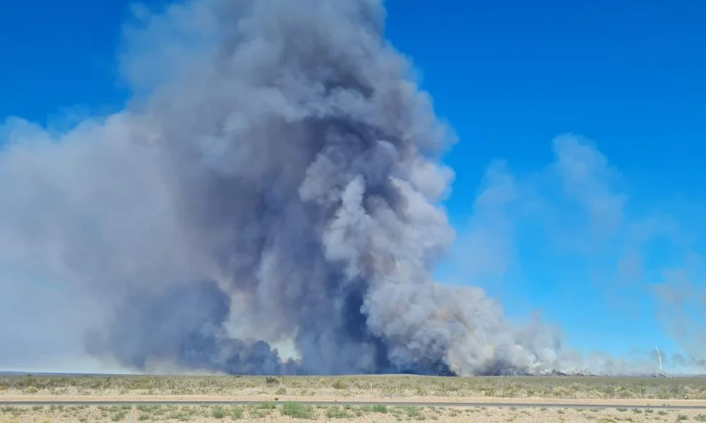 Incendio en zona de Bajo Simpson