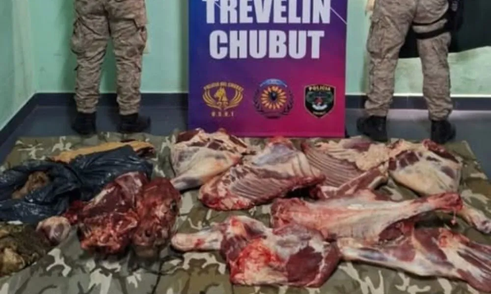 Hallan carne sin documentación en un control de la Policía Rural en Trevelin