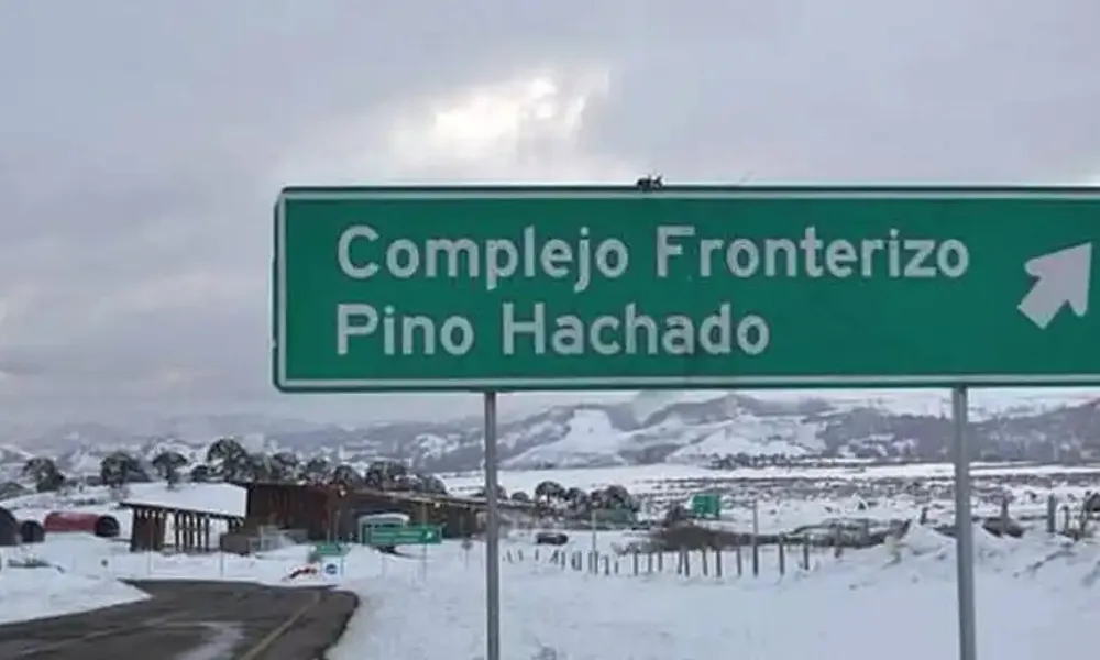 Pino Hachado