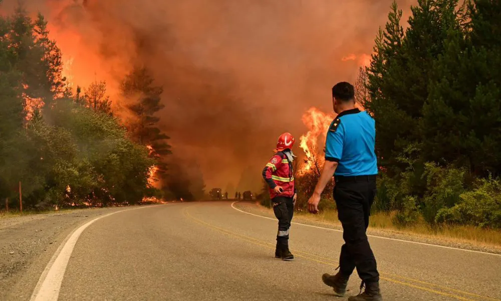 Incendios en la Cordillera 2026 8