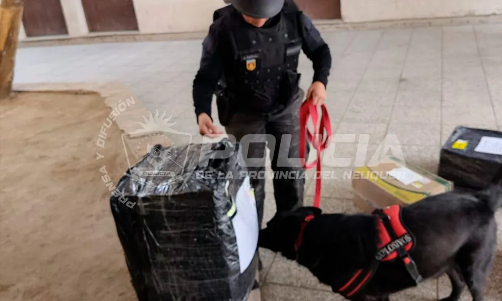 Falsa alarma de bomba en el Correo Argentino de General Roca