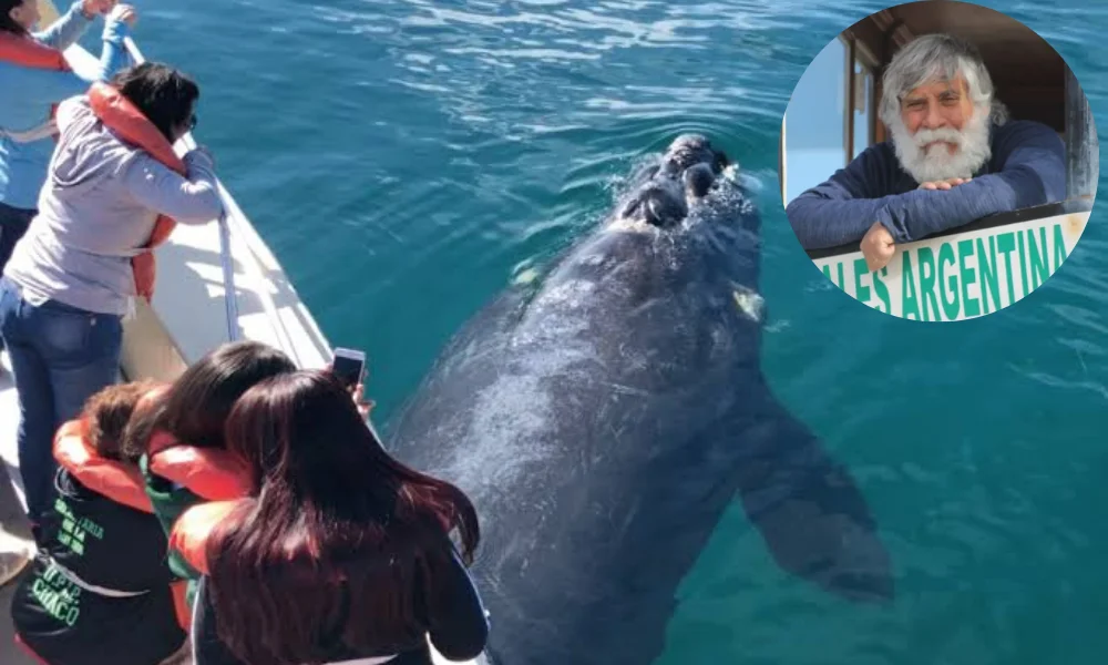 Ballenas y Pinino Orri