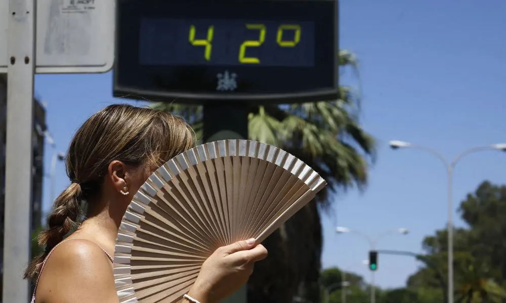 El calor extremo en Portugal se cobró más de 260 vidas