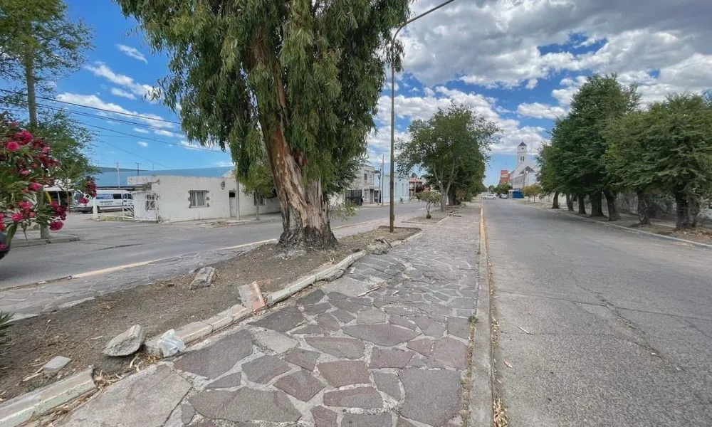 avenida san martín rw