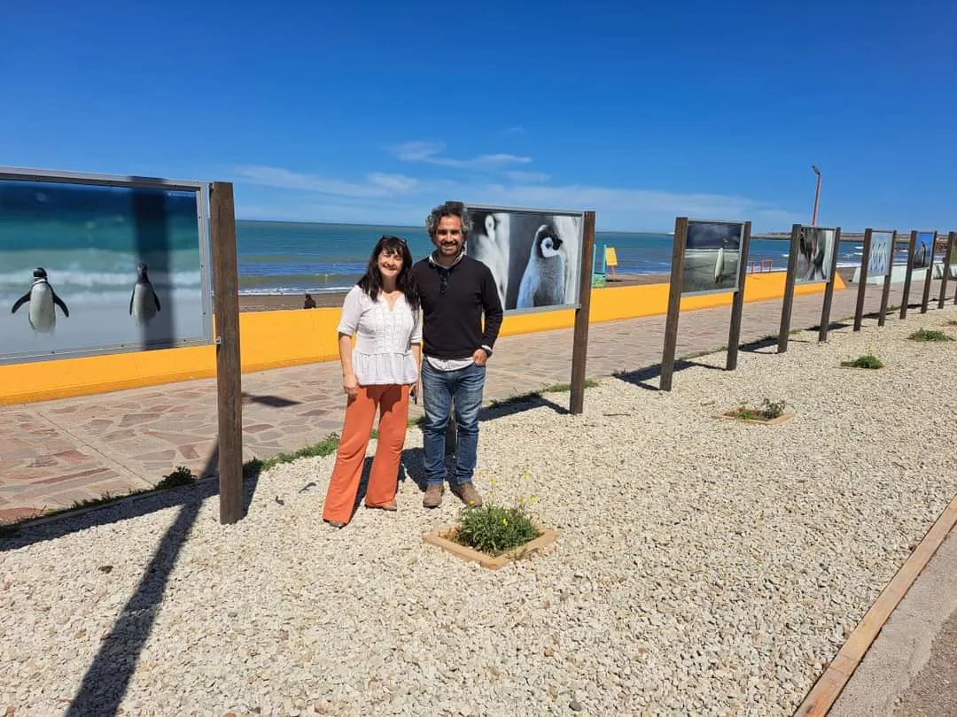 Carteleria-informativa-de-Global-Penguin-Society-en-la-rambla-de-Playa-Union