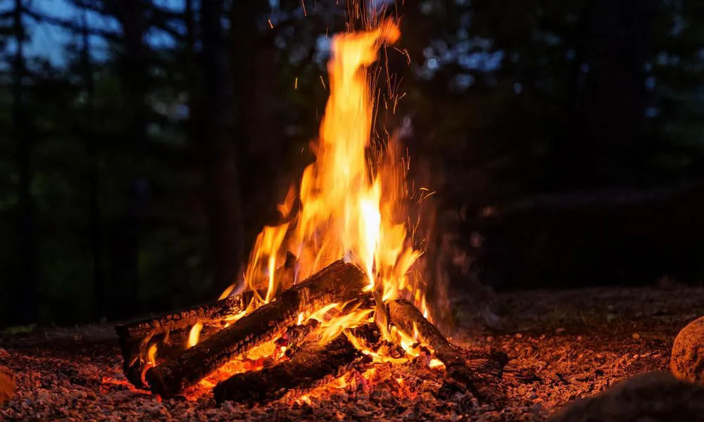Prohibición de fuego en Parques Nacionales. Foto Freepik