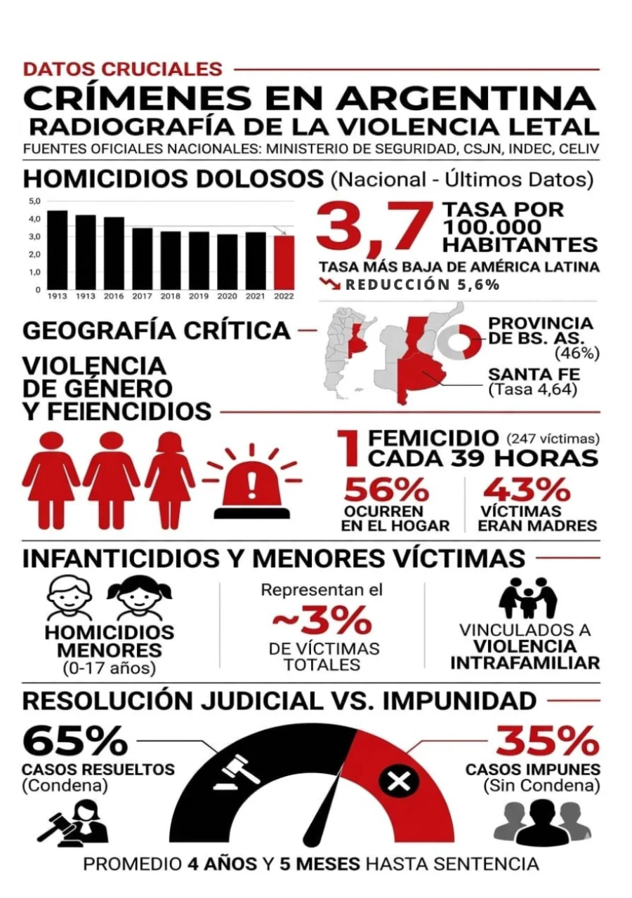 Infografía Crímenes en Argentina #La17