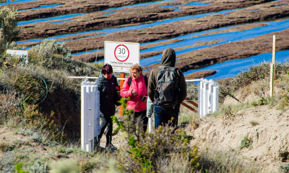 Miradores en Península Veldés fuente peninsulavaldes.org.ar